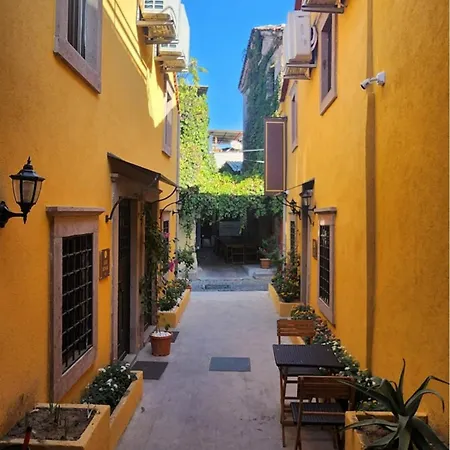 Pensión Hanole Macaron